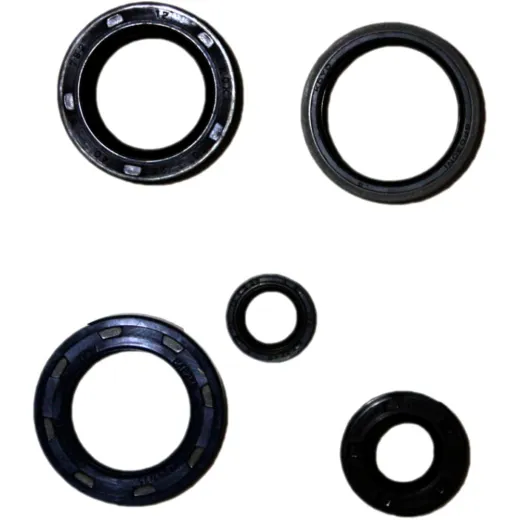 Engine oil seal kit P400210400180