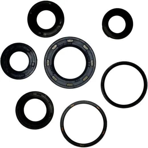 Engine oil seal kit P400210400117
