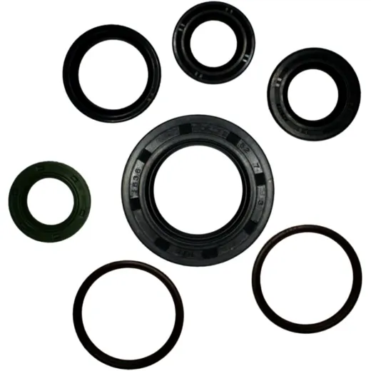 Engine oil seal kit P400485400172