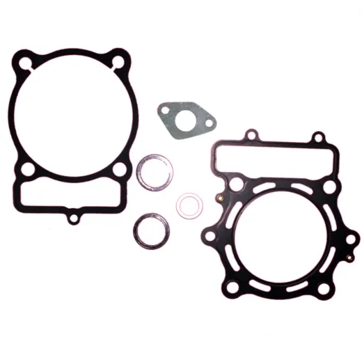 Gasket set topend P400220160003