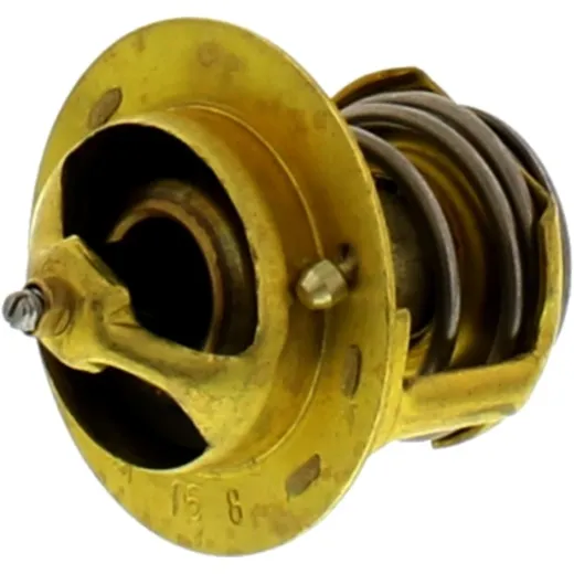 Thermostat TMT202