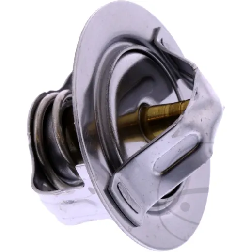 Thermostat (orig spare part) 490540003