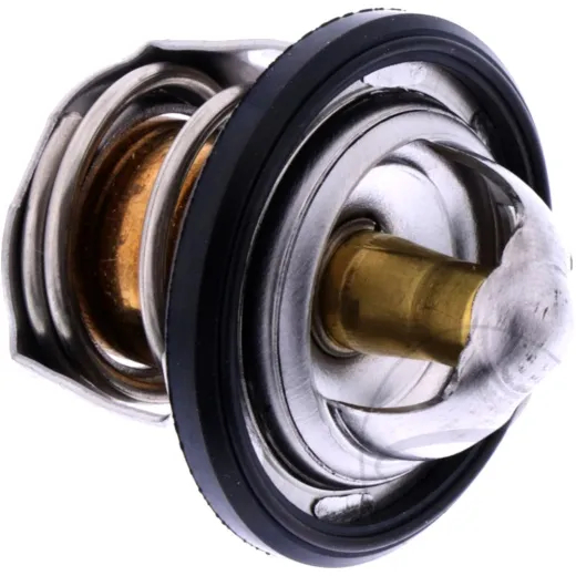Thermostat (orig spare part) 490541053