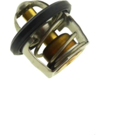 Thermostat (orig spare part) 1B91241100