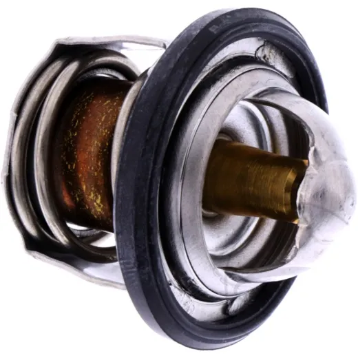 Thermostat (orig spare part) 49054Y003