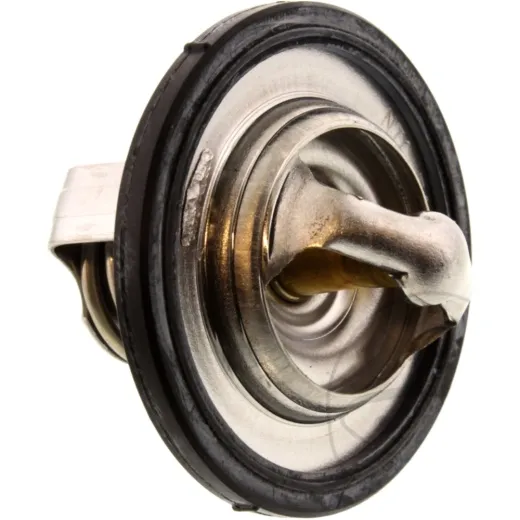 Thermostat (orig spare part) 29L1241100