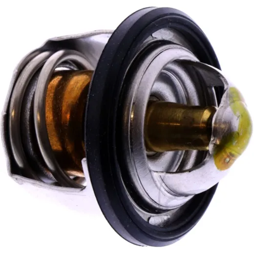Thermostat (orig spare part) 1767008D10000