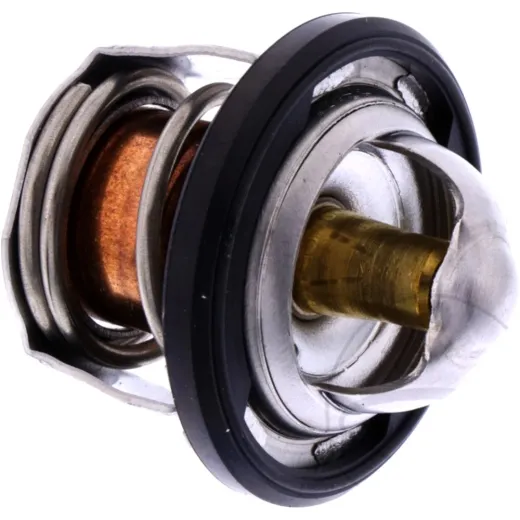 Thermostat (orig spare part) 1767019K00000