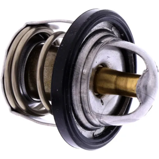 Thermostat (orig spare part) 1767033400000
