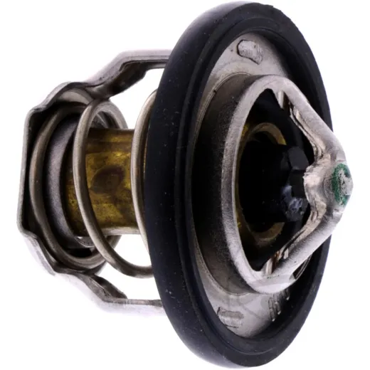 Thermostat für: Cagiva Original