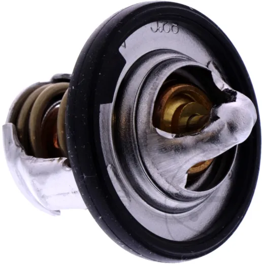 Thermostat tourmax