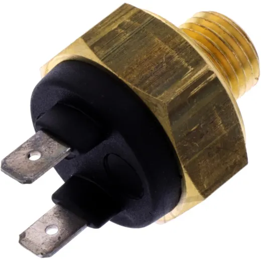 Thermostat (orig spare part) 1028150