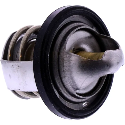 THERMOSTAT (OE SPARE PART)