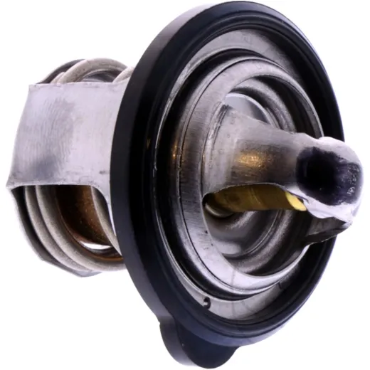 THERMOSTAT (OE SPARE PART)