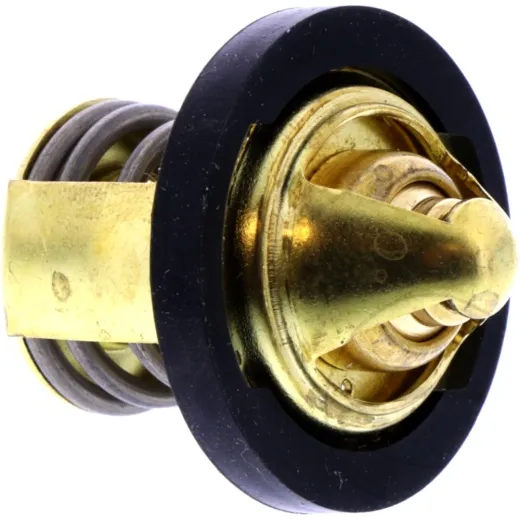 THERMOSTAT (OE SPARE PART)