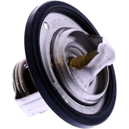 THERMOSTAT (OE SPARE PART)