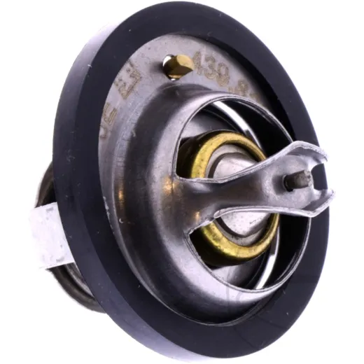 THERMOSTAT