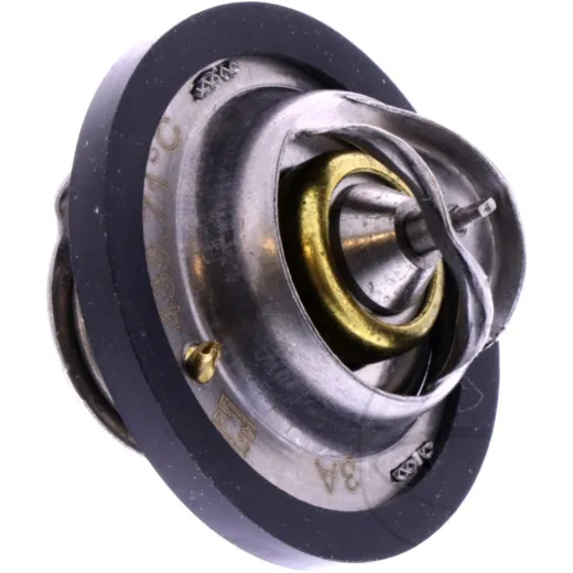 Thermostat 1210271