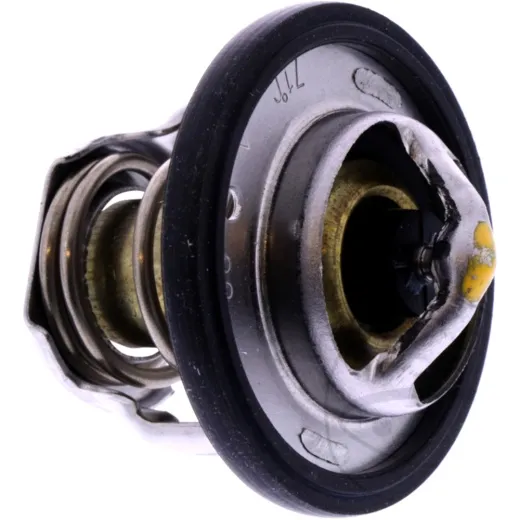 THERMOSTAT (OE SPARE PART)