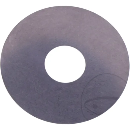 Shim 38X12X0.3 YSS