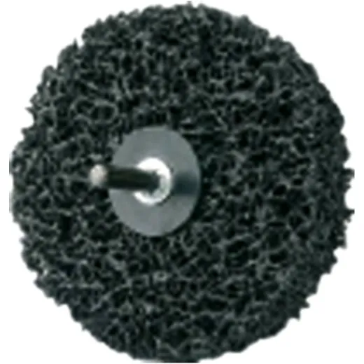 cleanergungs Disc n 100X13X6MM